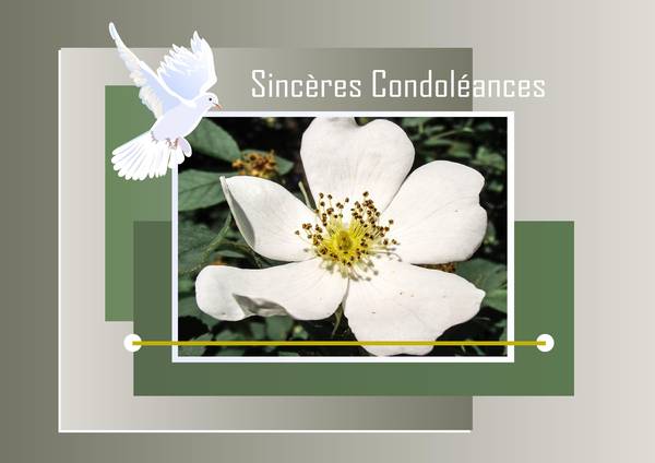 MARIE-LOUISE (MALOU) - DE TOUT COEUR SINCERES CONDOLEANCES