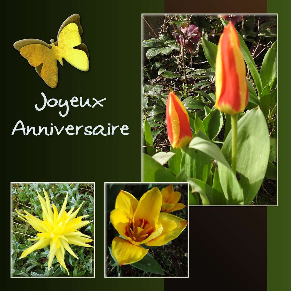 MARILOU FU (MARILOU) - JOYEUX ANNIVERSAIRE