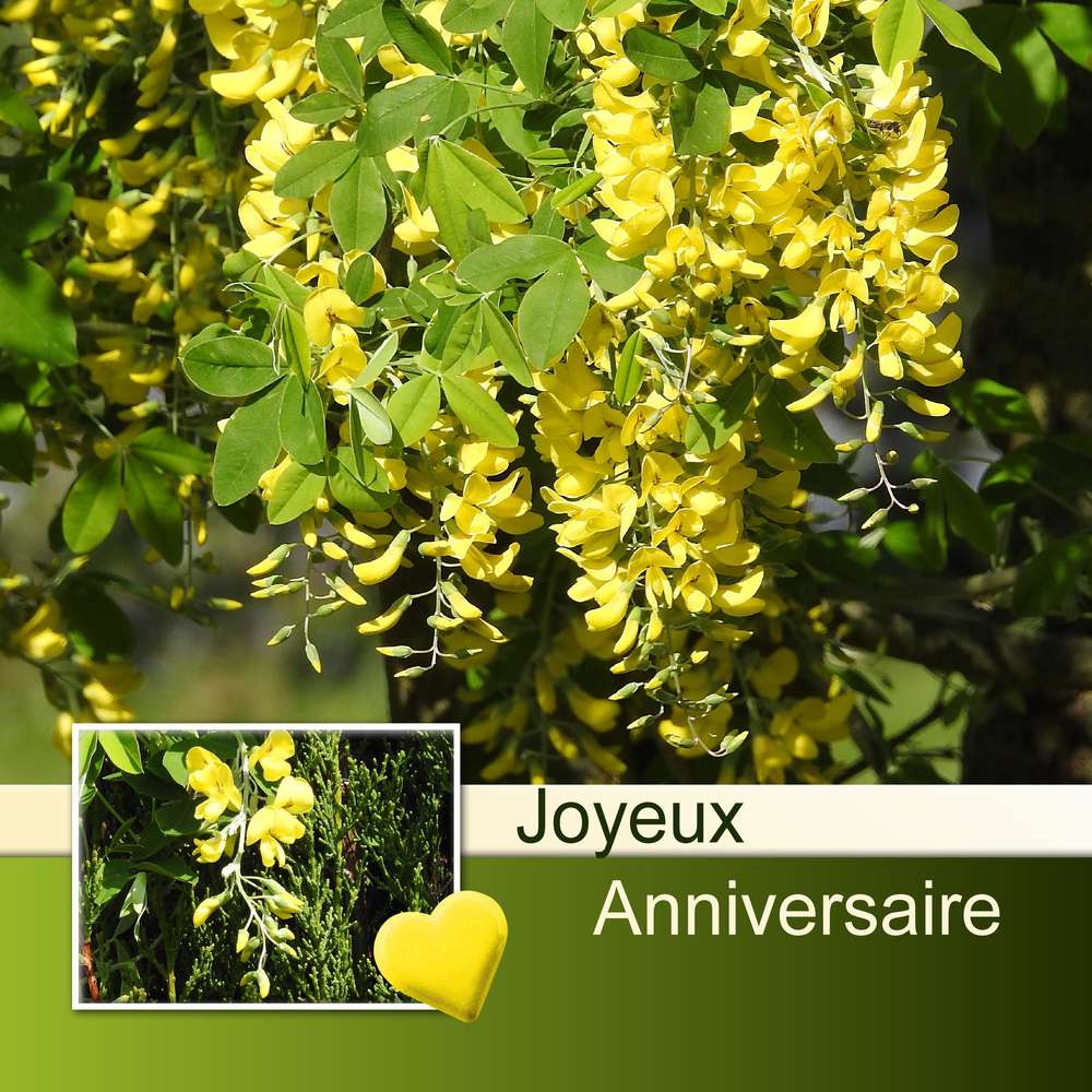 MARILOU FU (MARILOU) - JOYEUX ANNIVERSAIRE