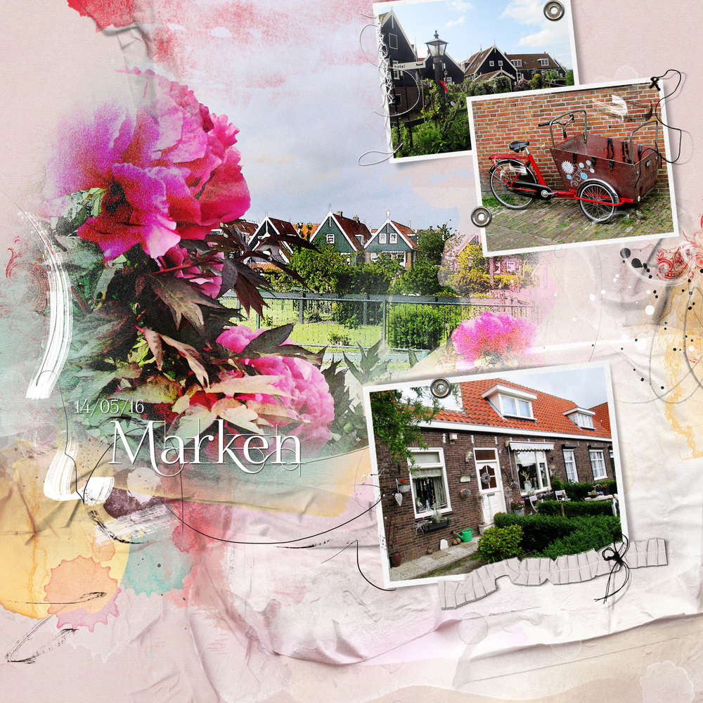 Marken Pays-Bas N°2