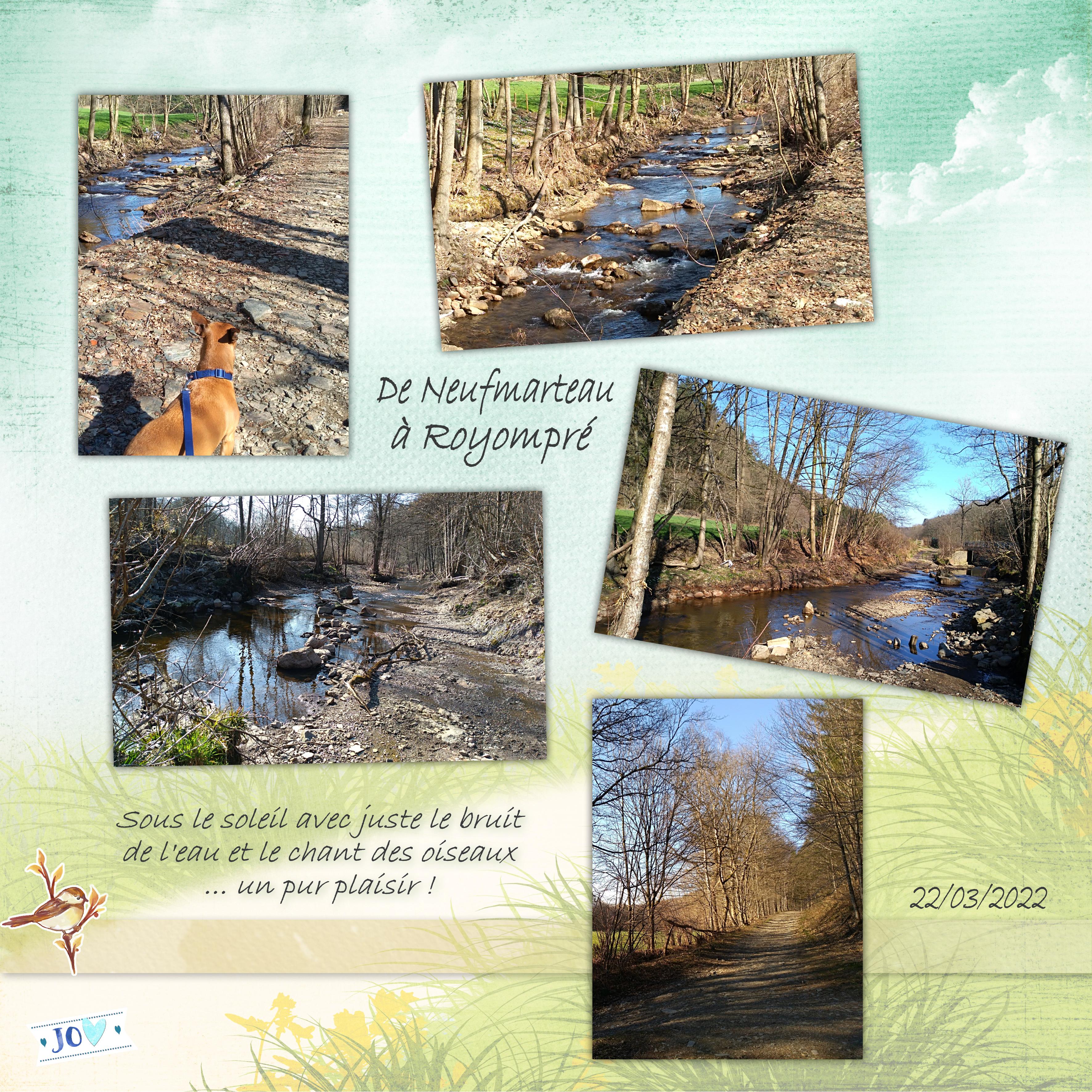 mars 2022 Neufmarteau.jpg