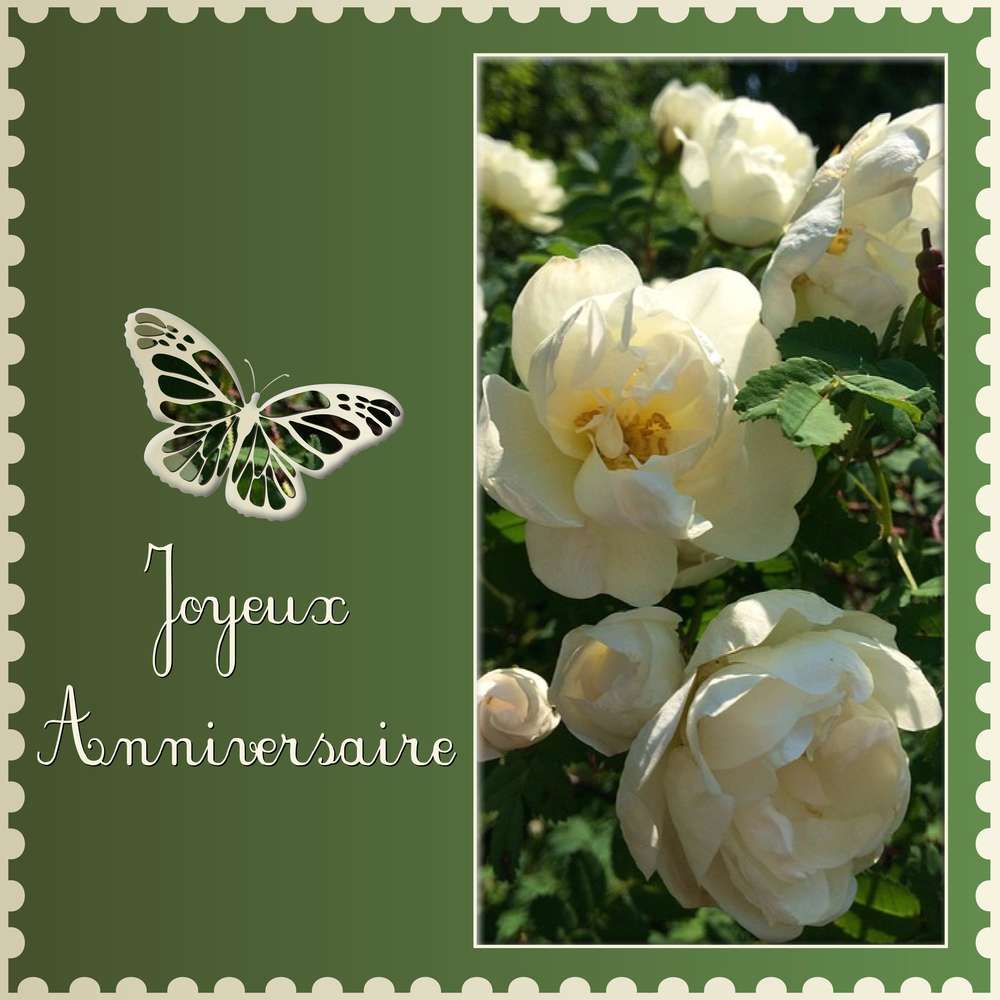 MARTINE 29 - JOYEUX ANNIVERSAIRE