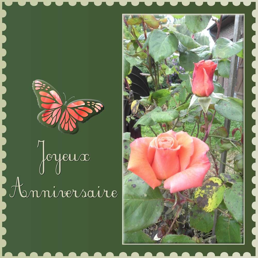 MARTINE62- JOYEUX ANNIVERSAIRE