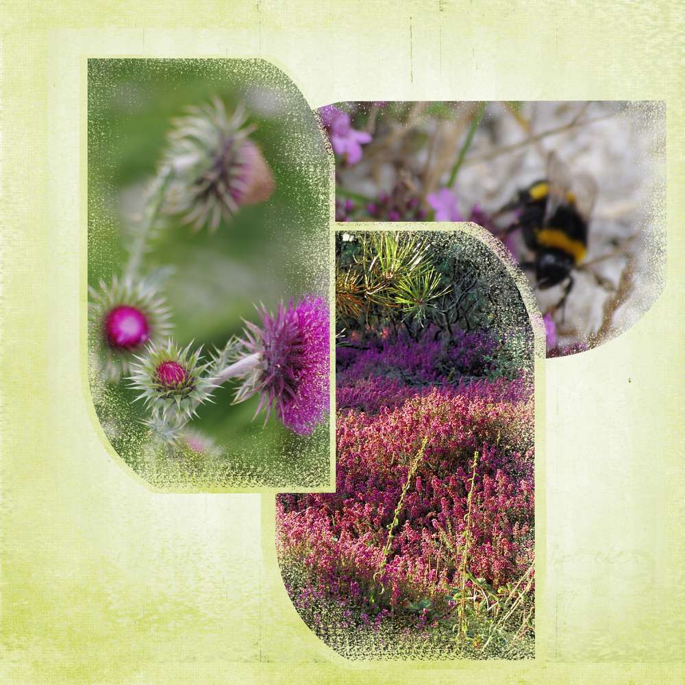 masques Studio Scrap