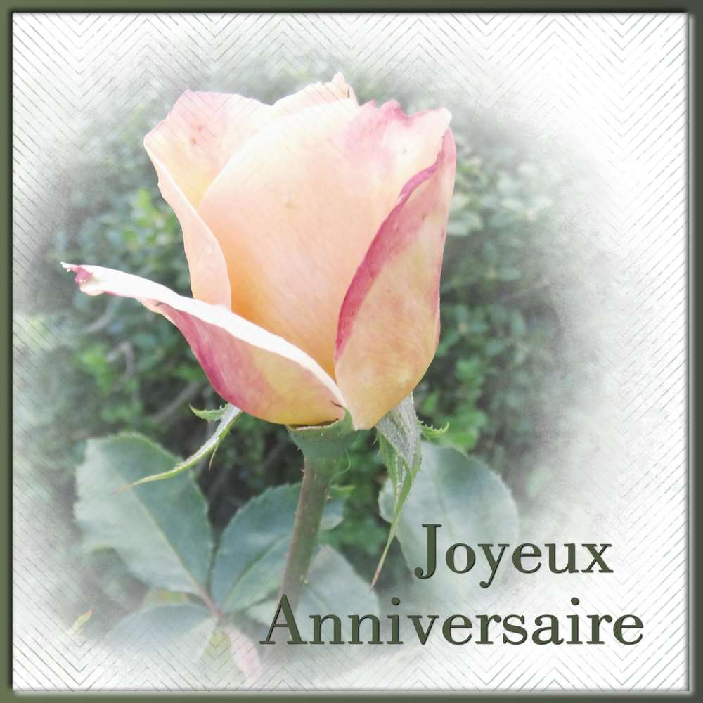 MAX (ANDRE) - JOYEUX ANNIVERSAIRE