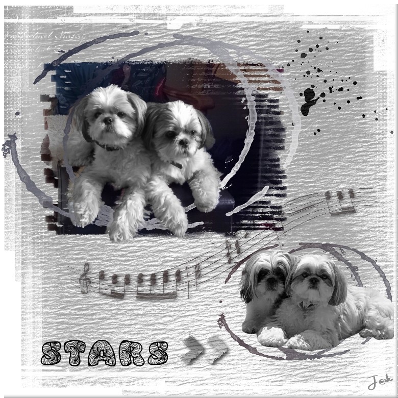 max & luna stars .jpg