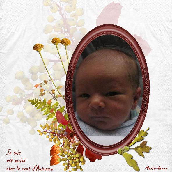 Maxence est arrivé ....