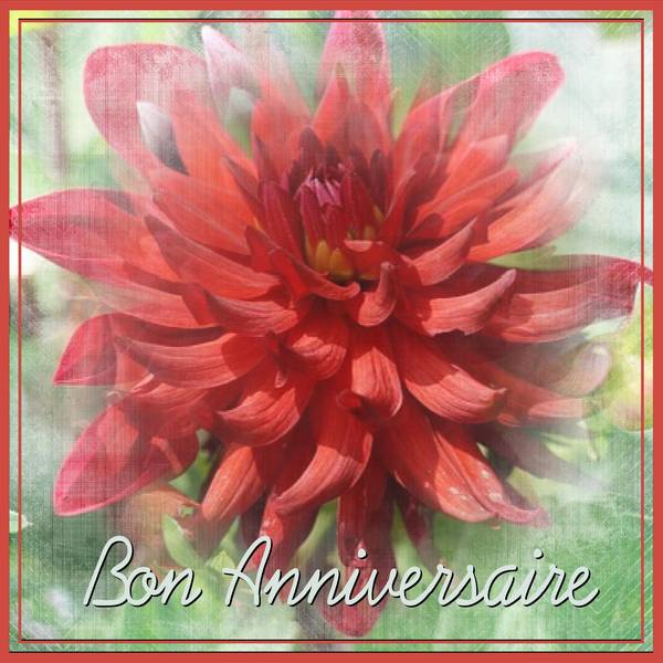 MAYA - BON ANNIVERSAIRE