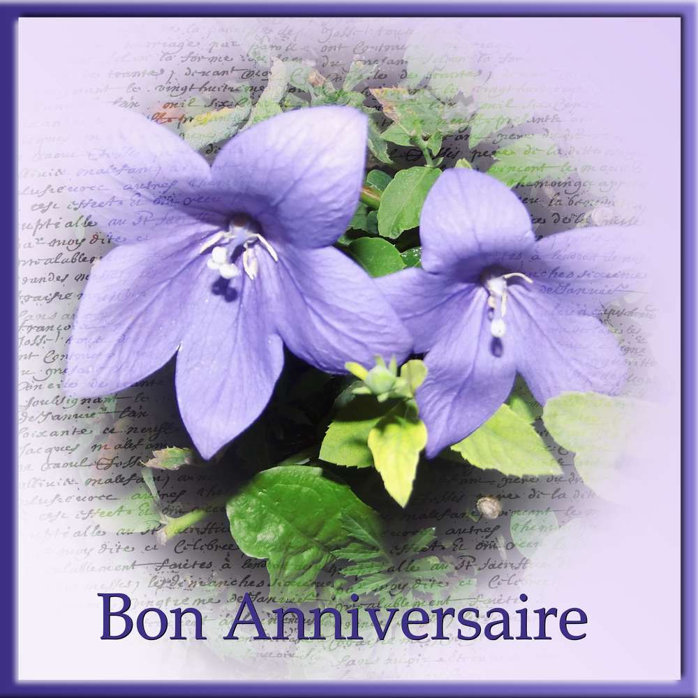 MAYA (NADIA) - BON ANNIVERSAIRE