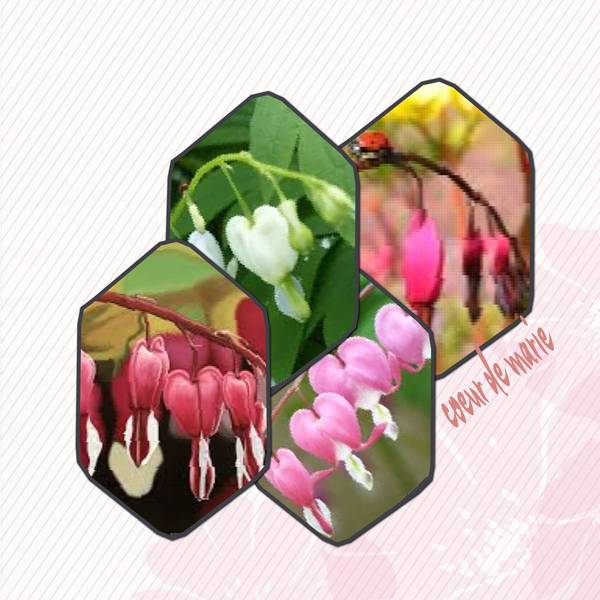 me pardonnerez vous un peu de légereté ?