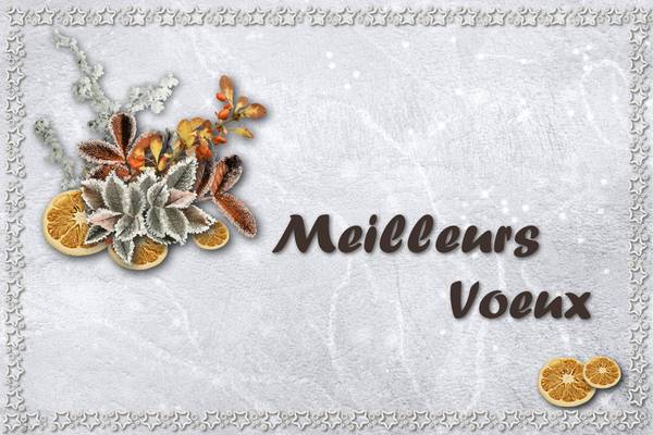 Meilleurs voeux 2013-2014