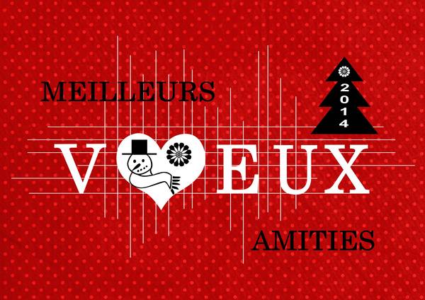 MEILLEURS VOEUX 2014