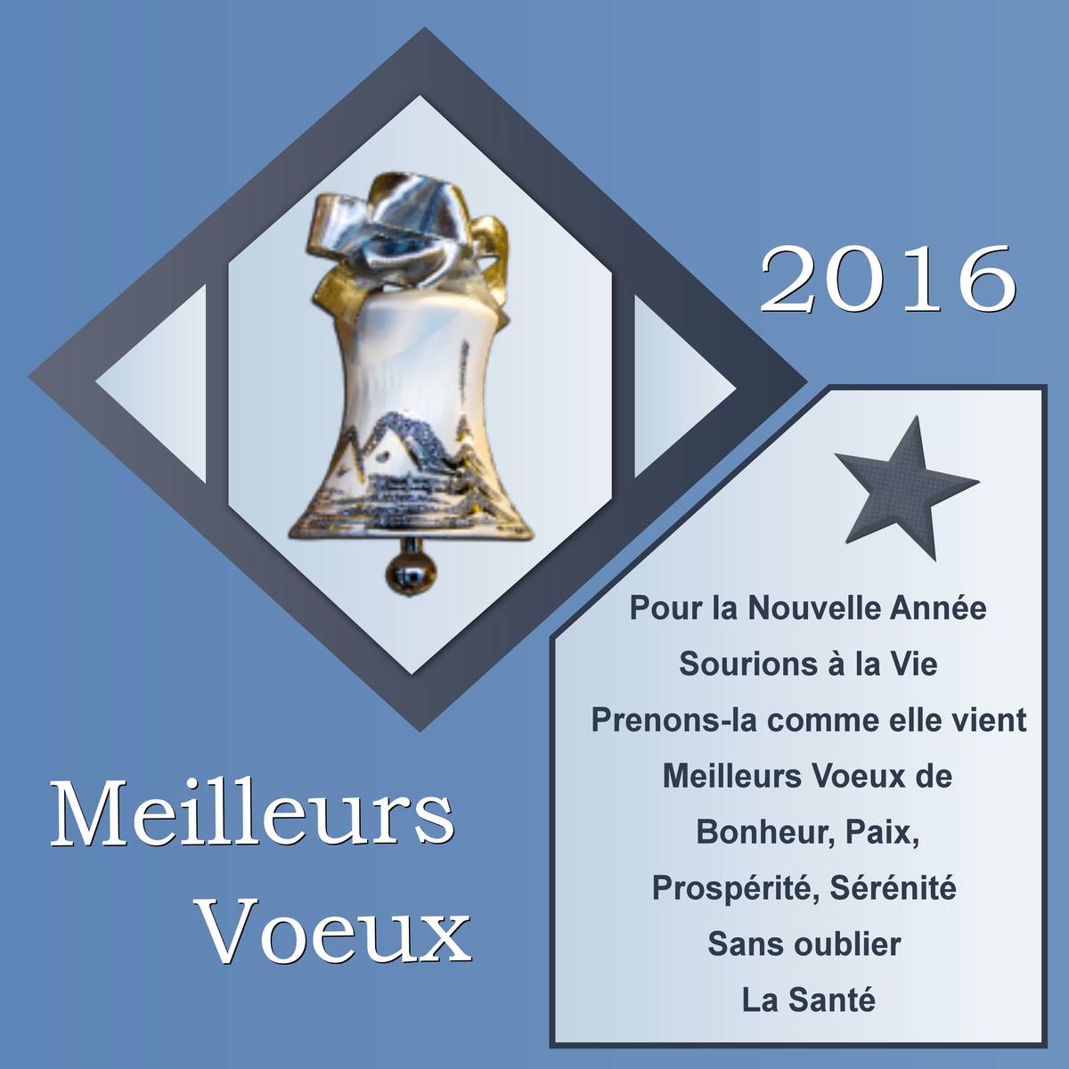 MEILLEURS VOEUX 2016
