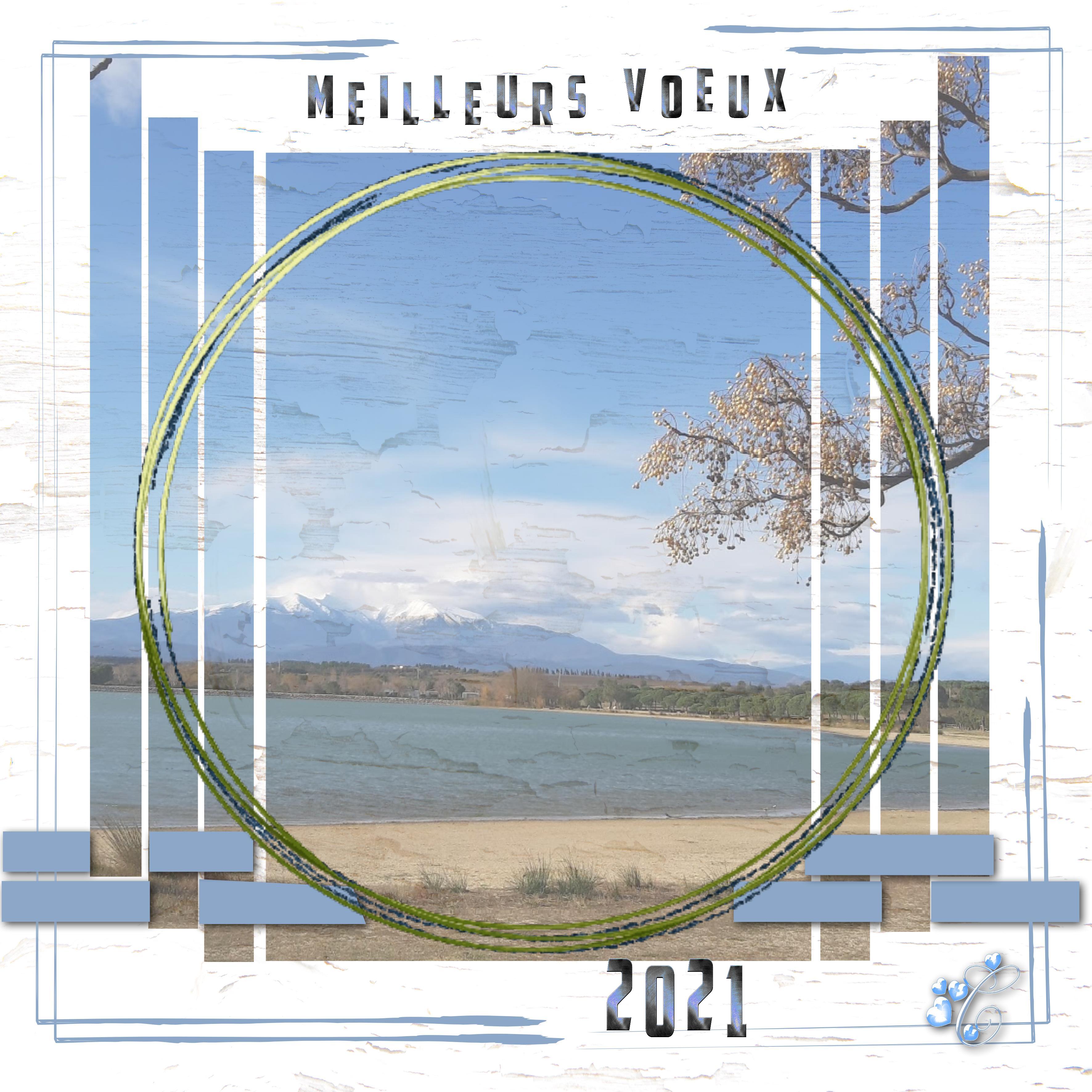 meilleurs voeux 2021.jpg