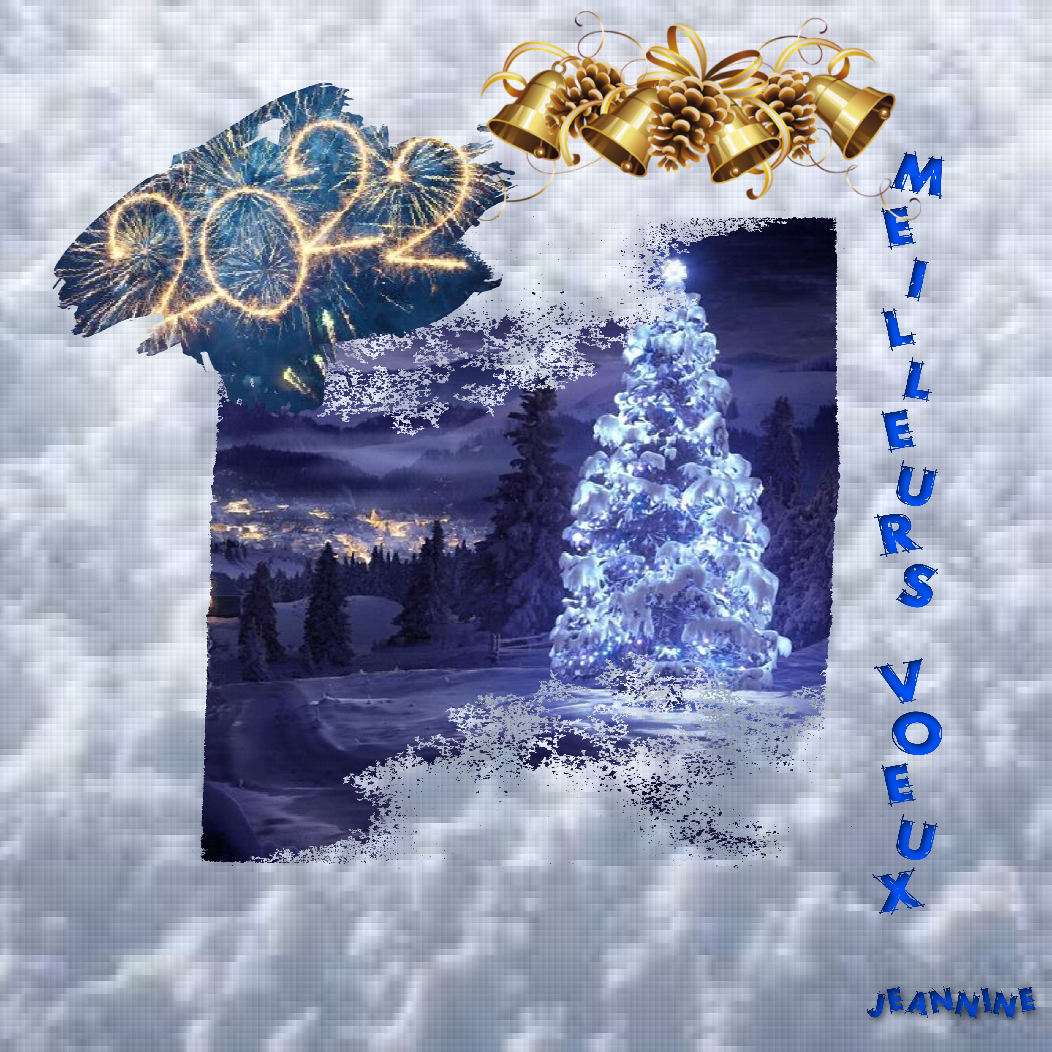 MEILLEURS VŒUX 2022  Jeannine