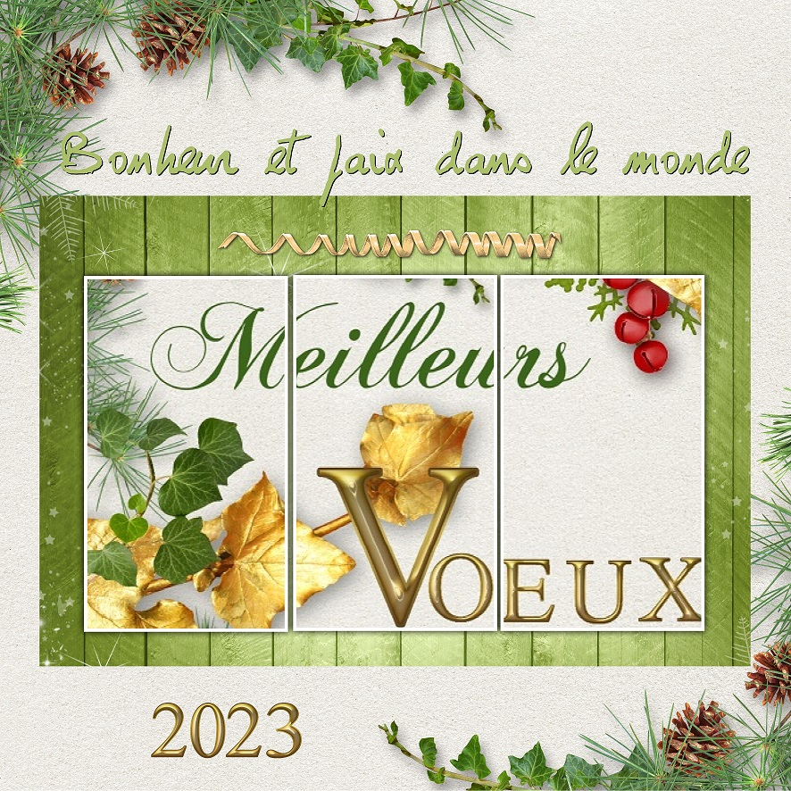 Meilleurs voeux 2023.jpg