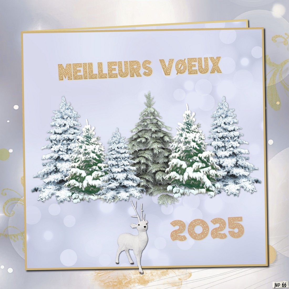 meilleurs voeux 2025.jpg