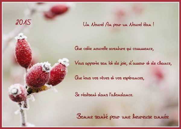 MEILLEURS VOEUX POUR 2015