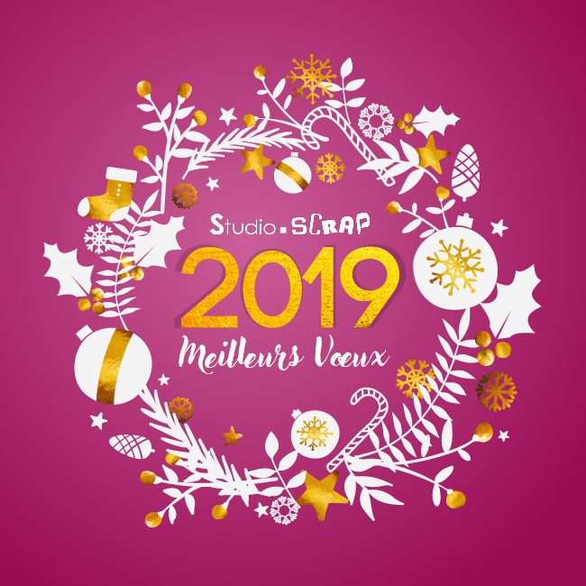 Meilleurs voeux pour 2019 !