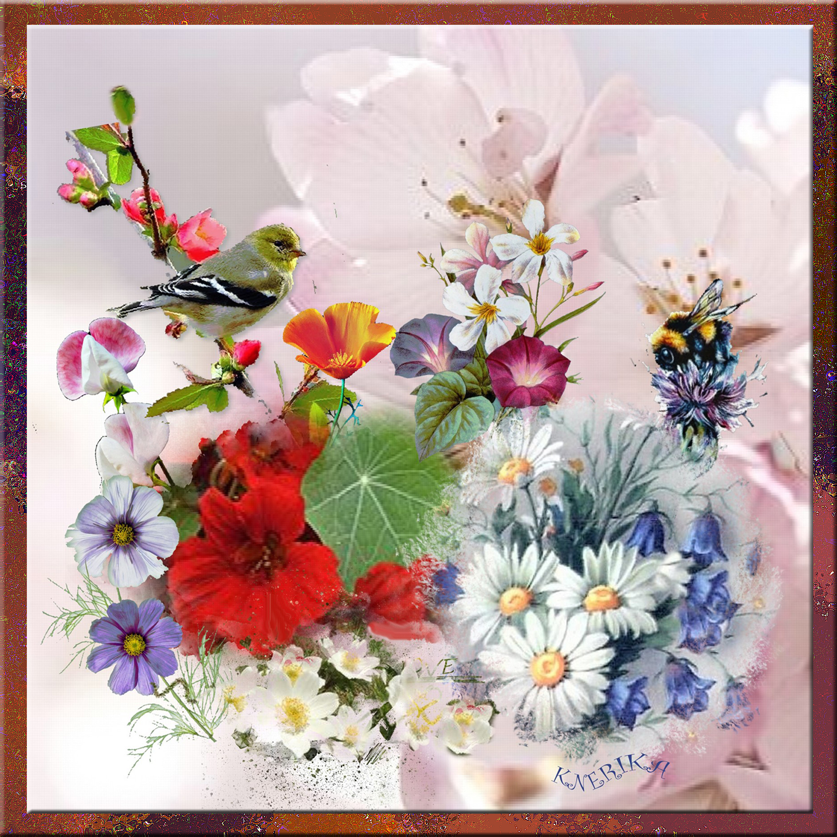 mélange de fleurs champêtres,  Anne Marie jpg