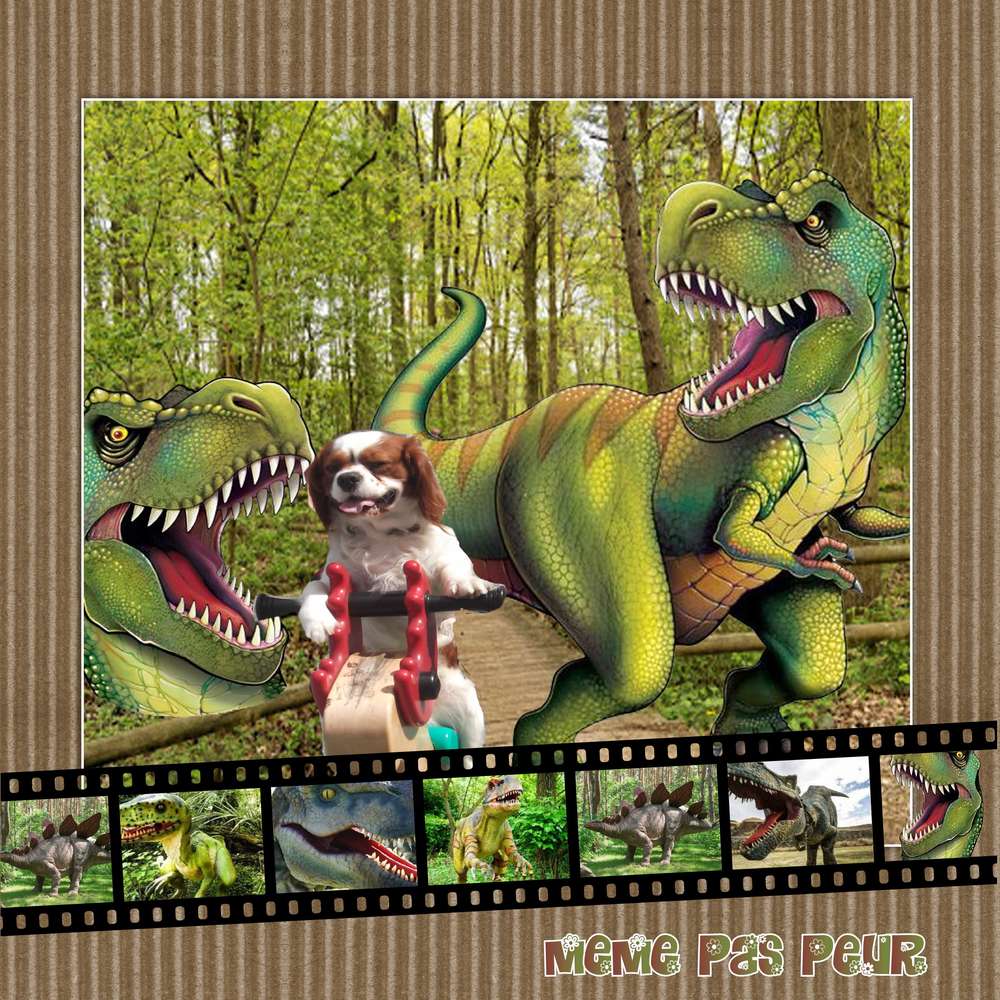 meme_pas_peur2