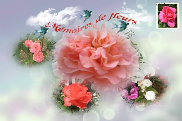 mémoire de fleur