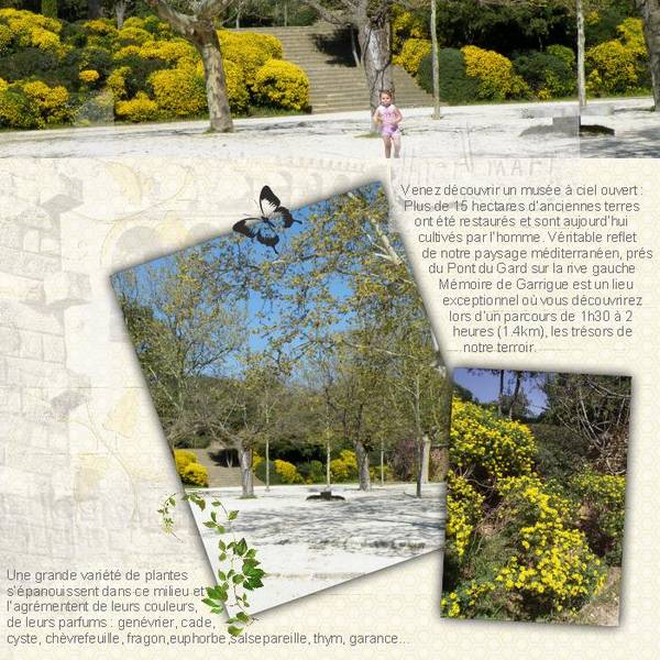 Mémoire de guarrigue