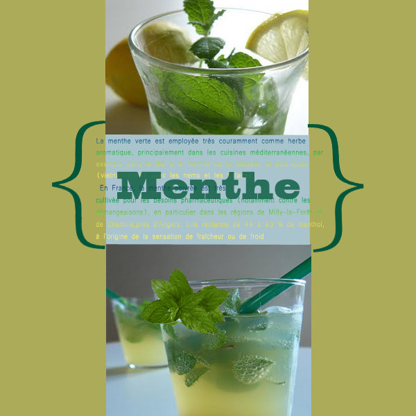 Menthe