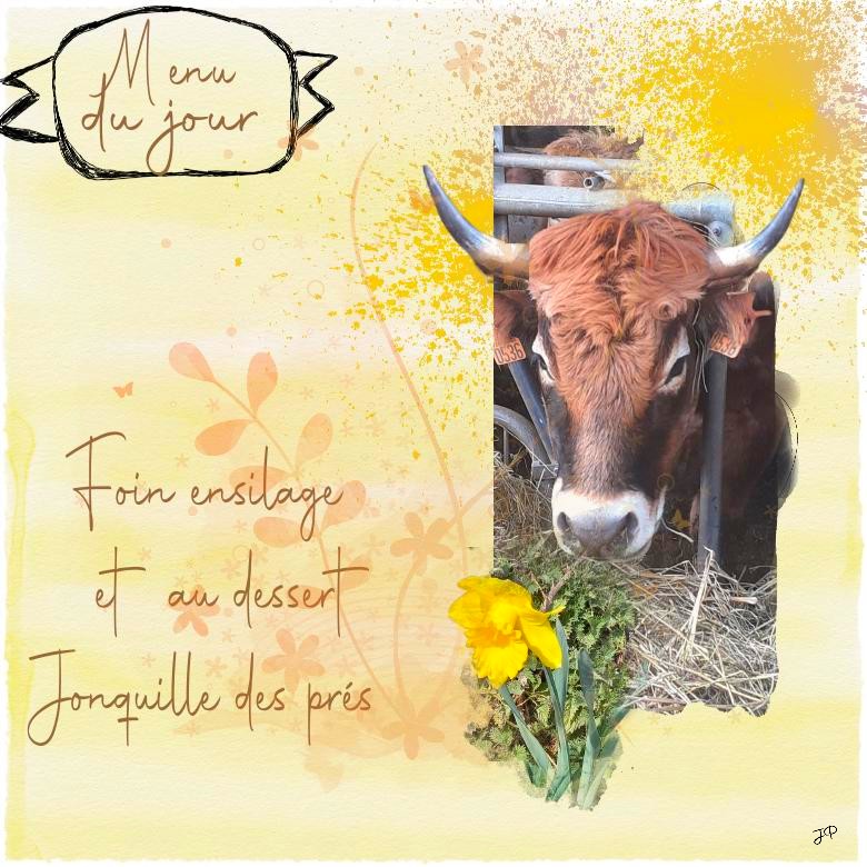 menu du jour foin ensilage.jpg