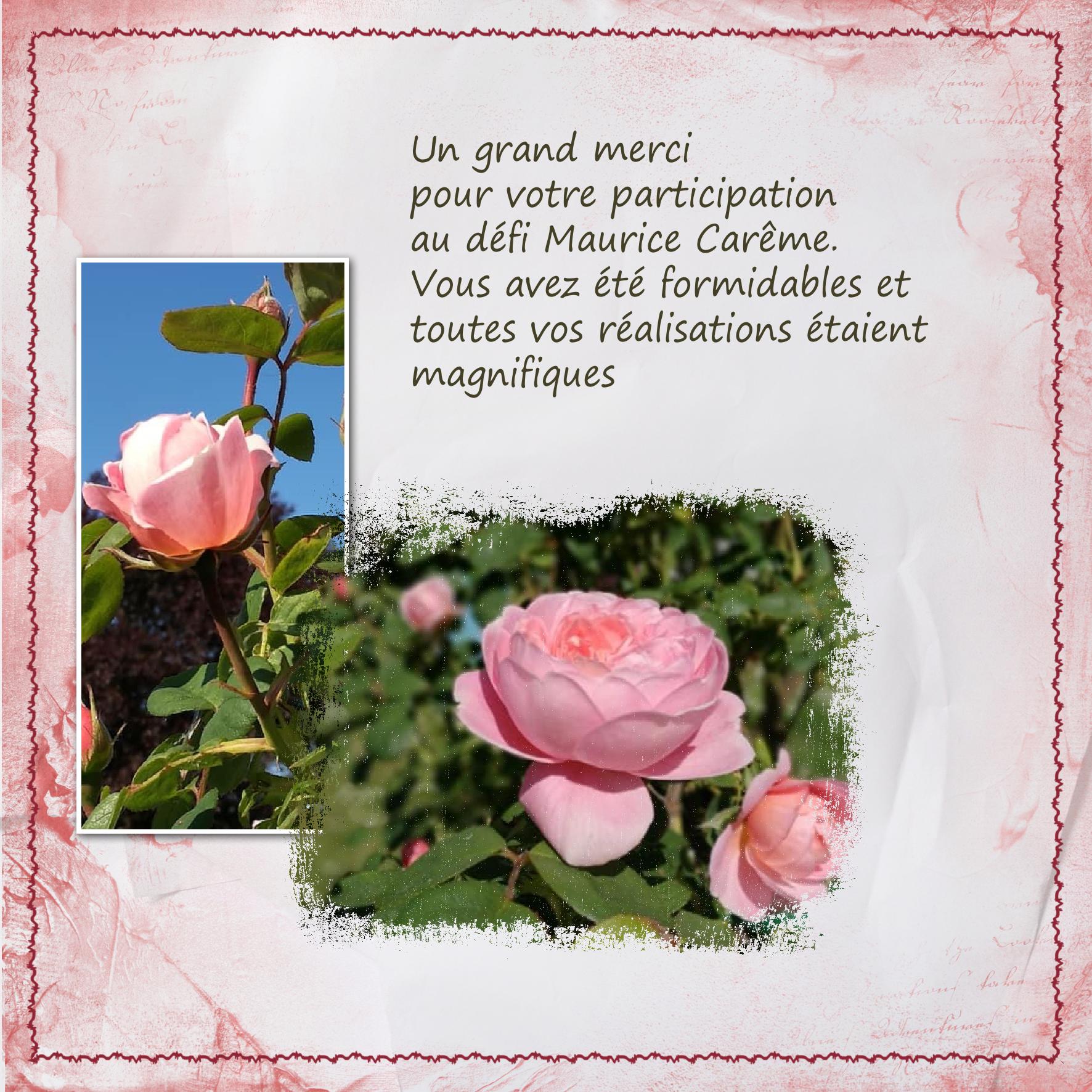 merci 02.jpg