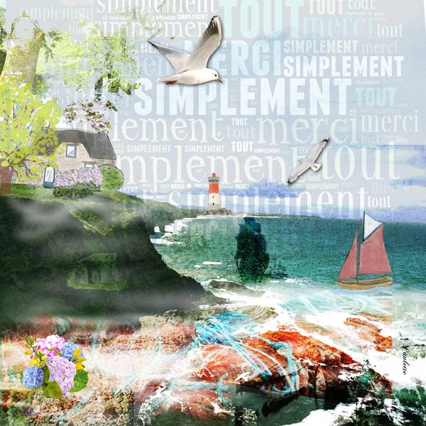 merci à Yann du cdip