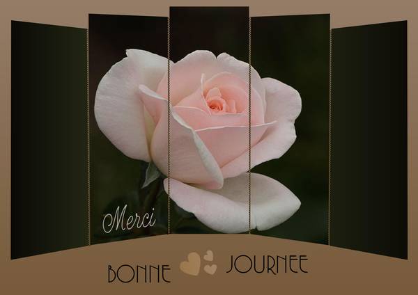 MERCI  -  BONNE JOURNEE