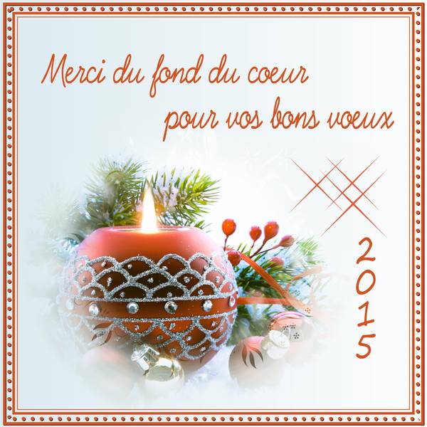 MERCI DU FOND DU COEUR POUR VOS BONS VOEUX 2015