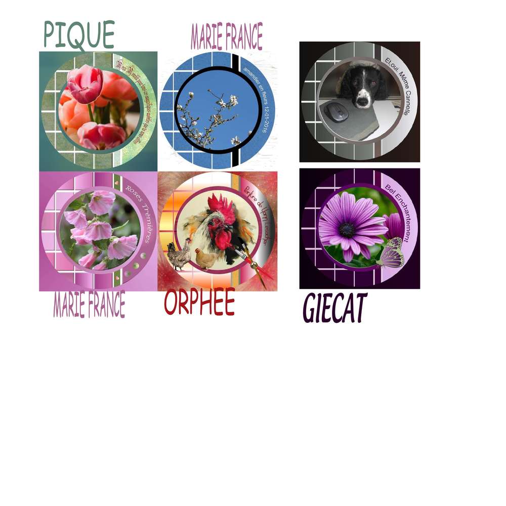 MERCI... et d'accord pas d'accord ?