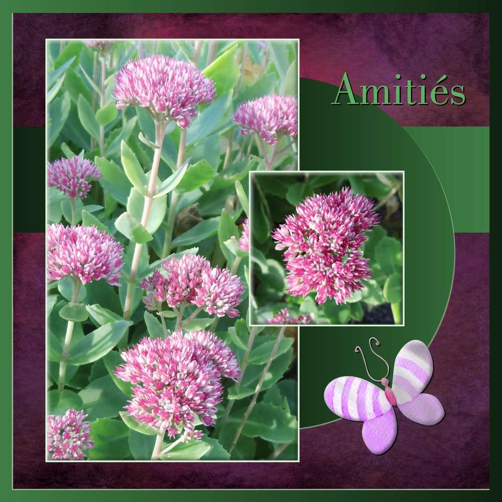 MERCI INFINIMENT  -  AMITIES