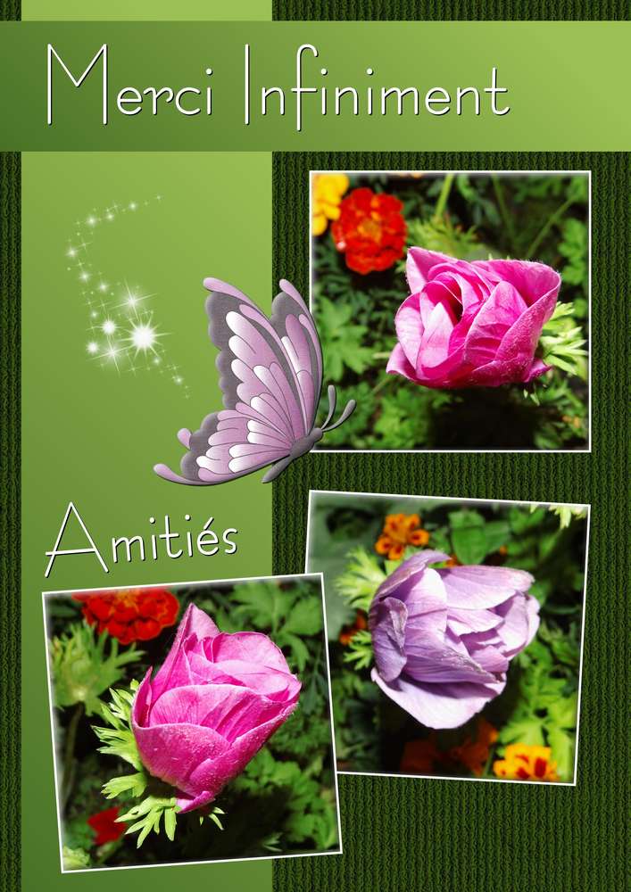 MERCI INFINIMENT - AMITIES