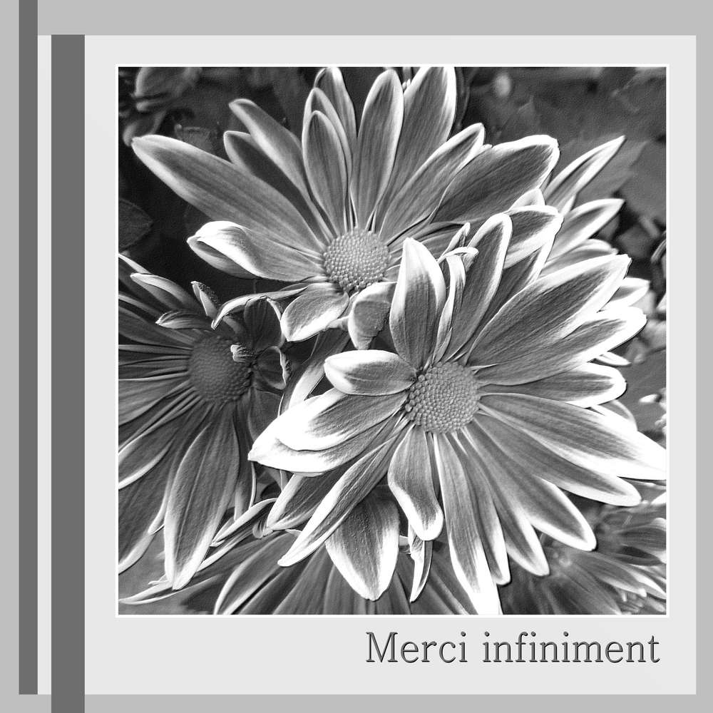 MERCI INFINIMENT