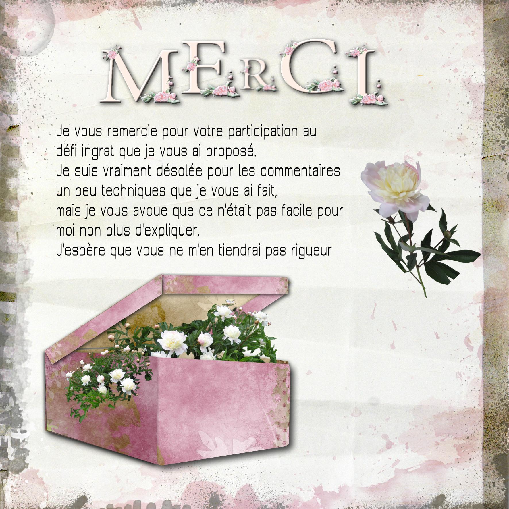 merci .jpg