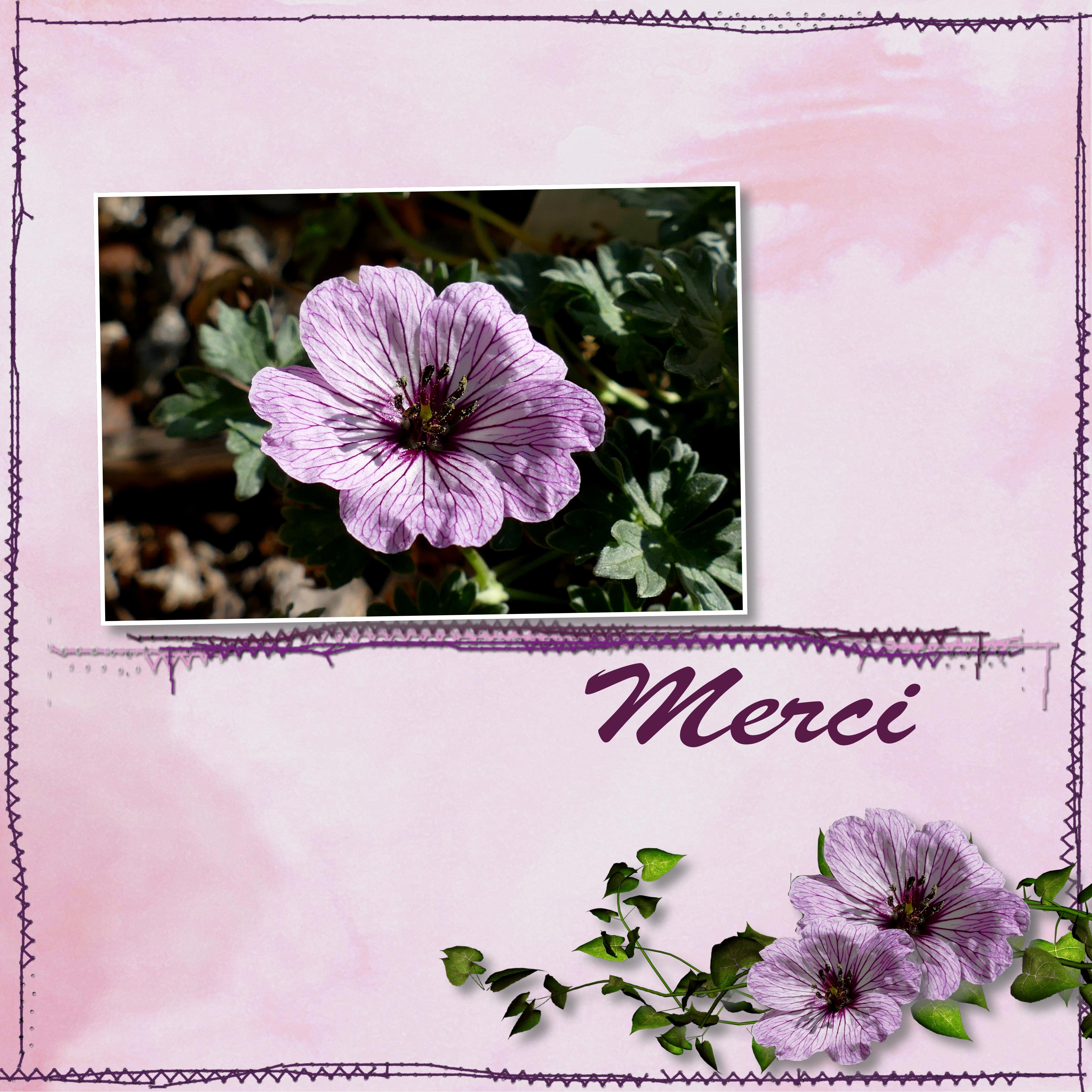 Merci liliScrap et Monikk.jpg