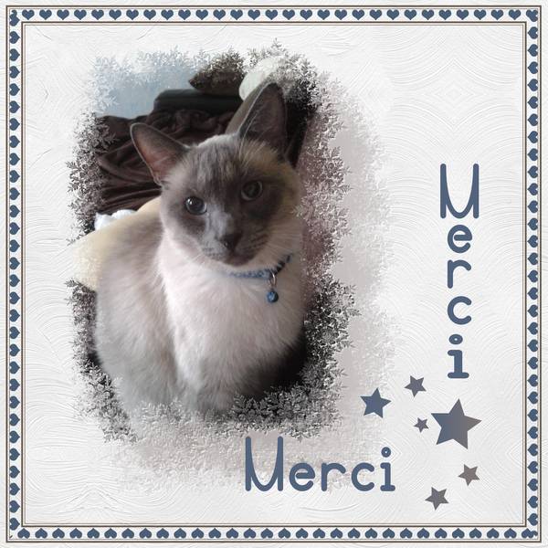 MERCI pour LES BONS SOUHAITS