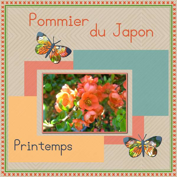 MERCI -- PRINTEMPS 2015 - POMMIER DU JAPON