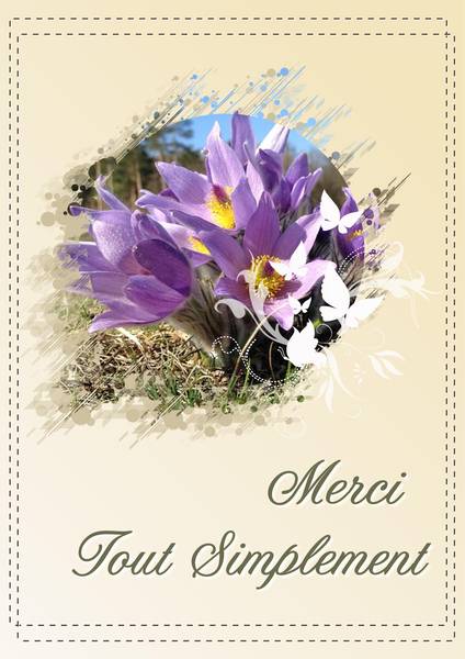 MERCI TOUT SIMPLEMENT