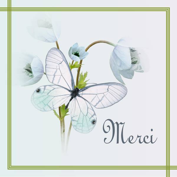 MERCI