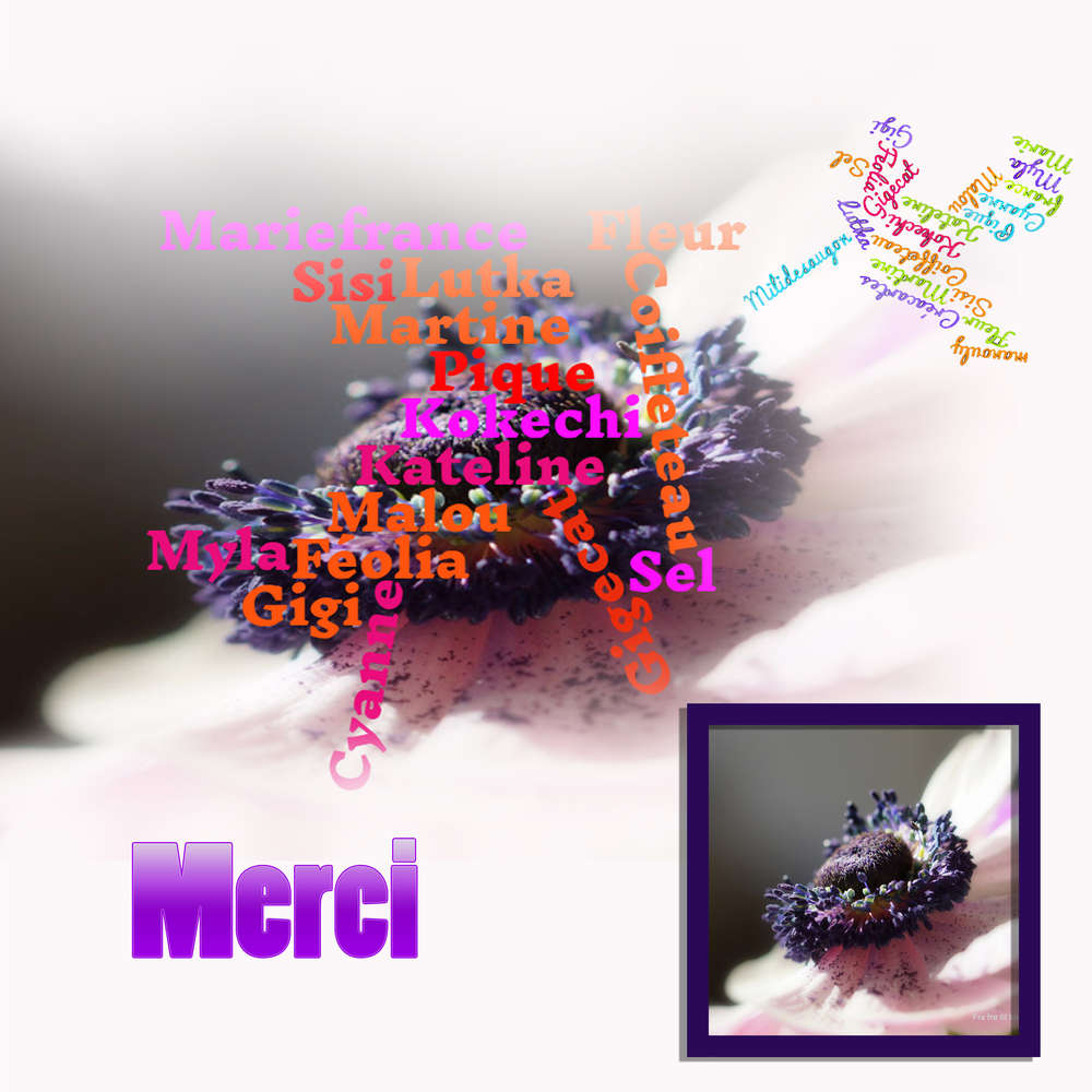 Merci