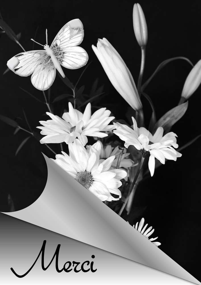 MERCI
