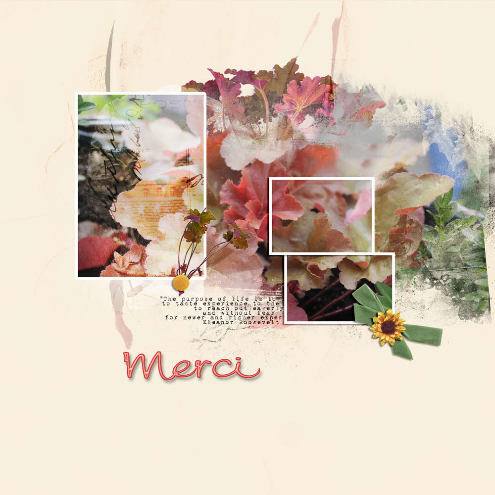 Merci