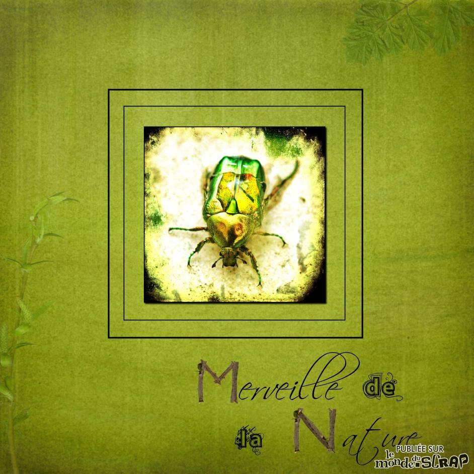 Merveille de la nature