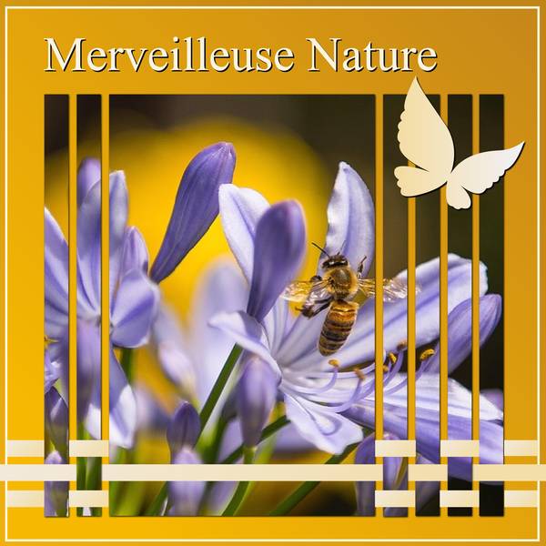 MERVEILLEUSE NATURE