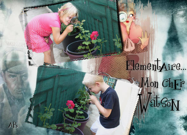 Mes 2 experts !!!!....en bétises LOL