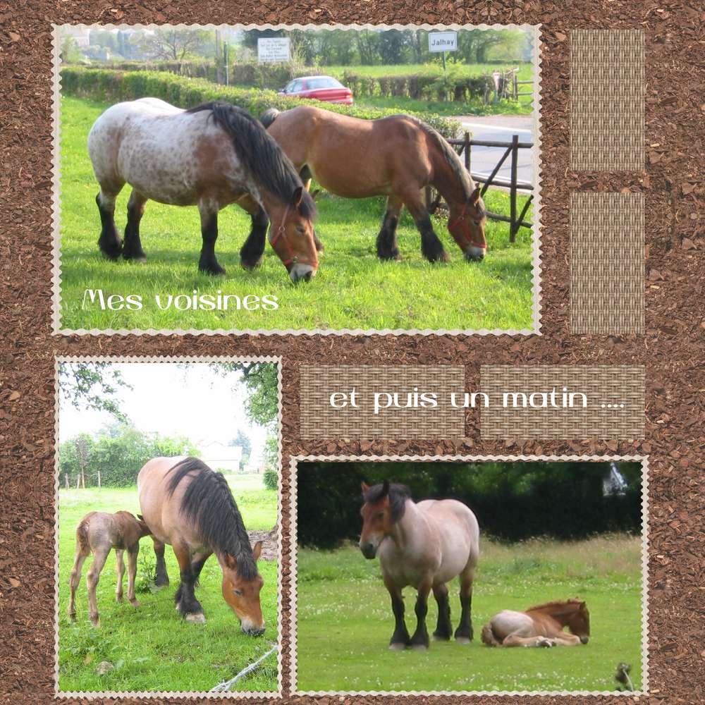 Mes anciennes voisines